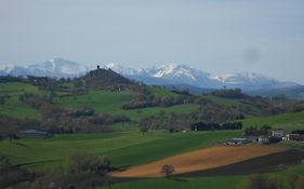 L'Isola Che Non C'era